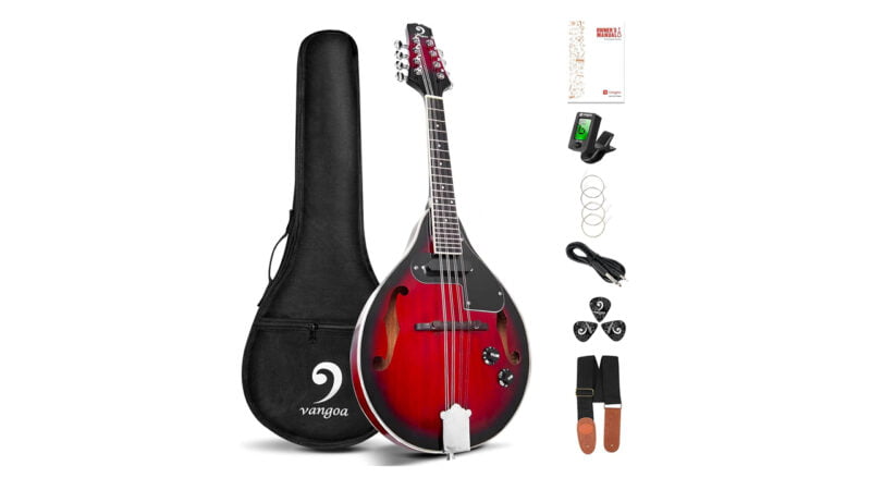 Top 5 Best Mandolin For Beginners