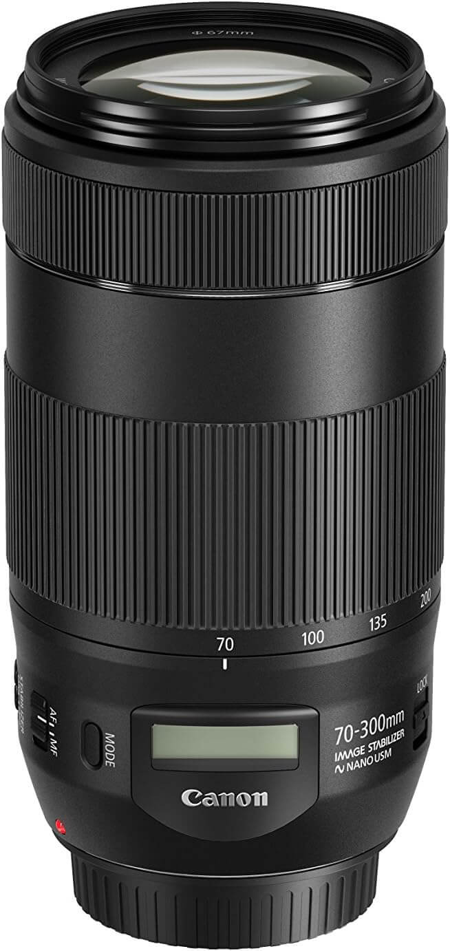 Canon EF 70 300 mm f 4 5.6 IS II USM
