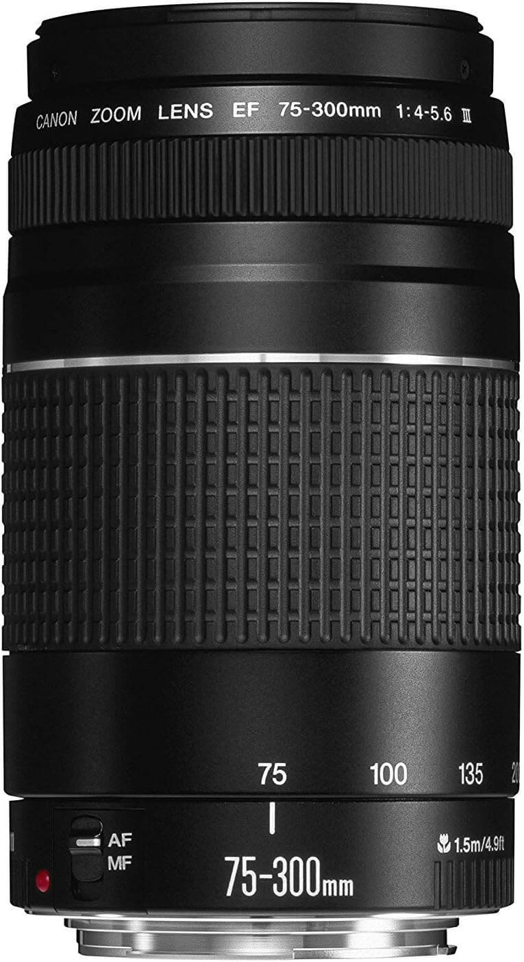 Canon EF 75 300 f 4 5.6 III