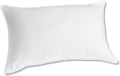 Top 5 Best Goose Down Pillows Luxuredown White Goose Down Pillow