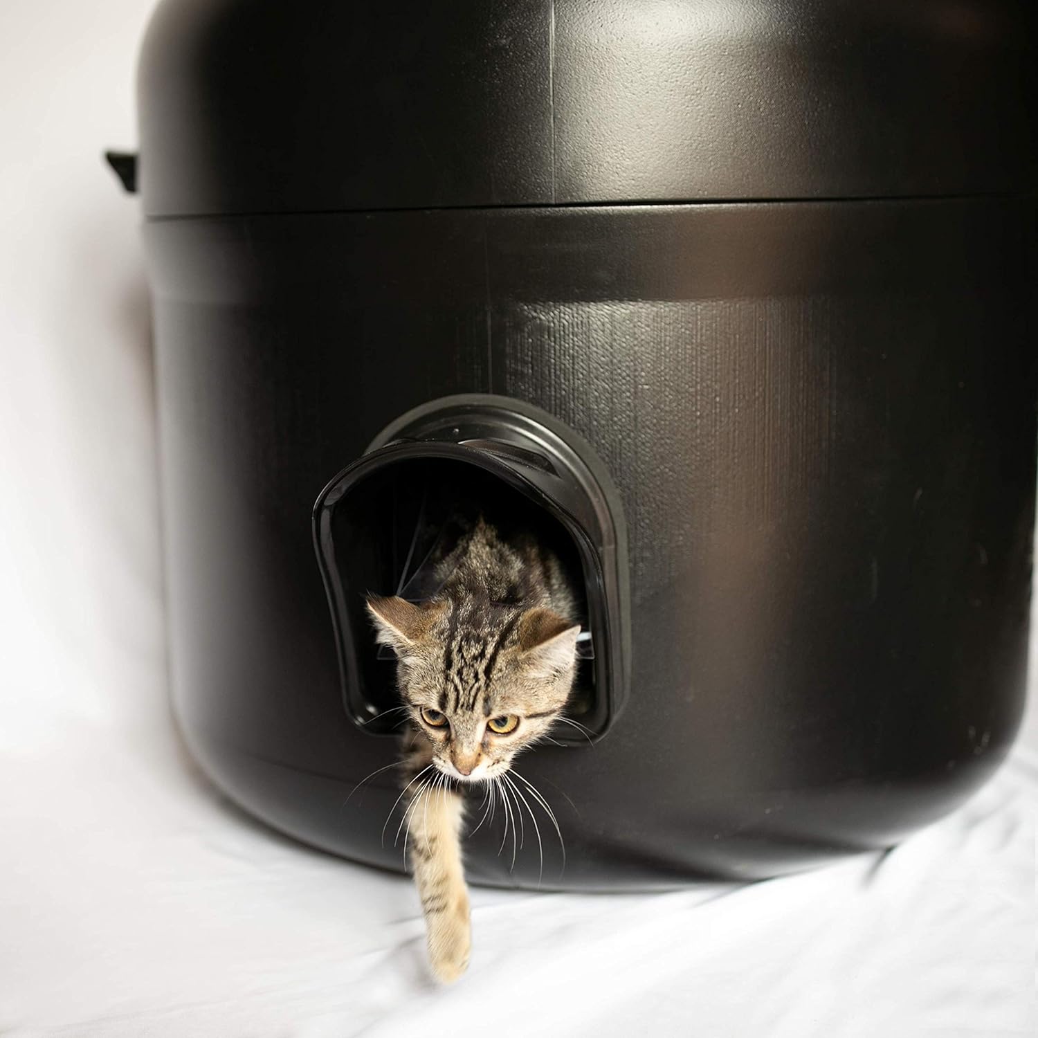 Top 5 Best Heated Cat House The Kitty Tube Durable Outdoor Ultra Insulated Cat House with Pillow