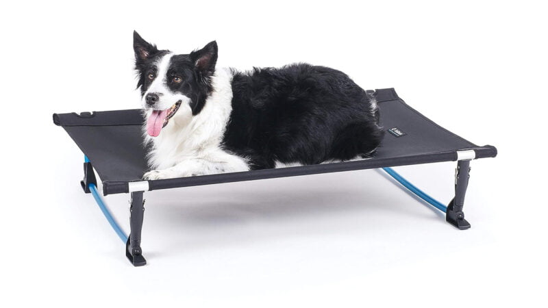 Top 5 Best Camping Cots