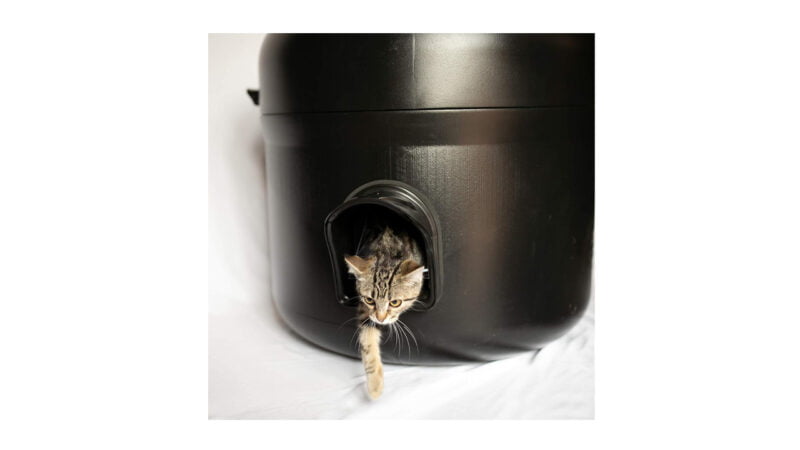 Top 5 Best Heated Cat House