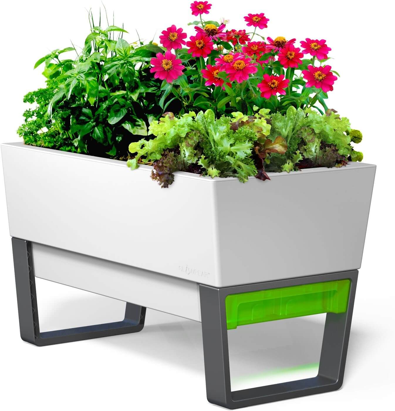 Top 5 Best Self Watering Planter Glowpear Self Watering Urban Garden Planter