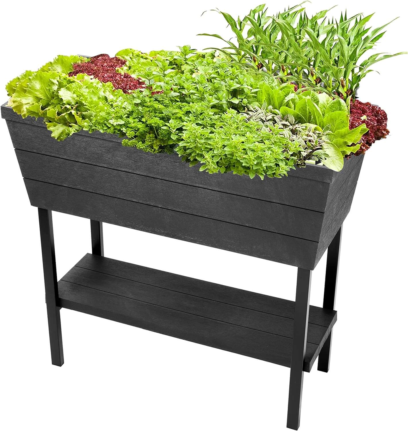 Top 5 Best Self Watering Planter Keter Urban Bloomer 12.7 Gallon Raised Garden Bed