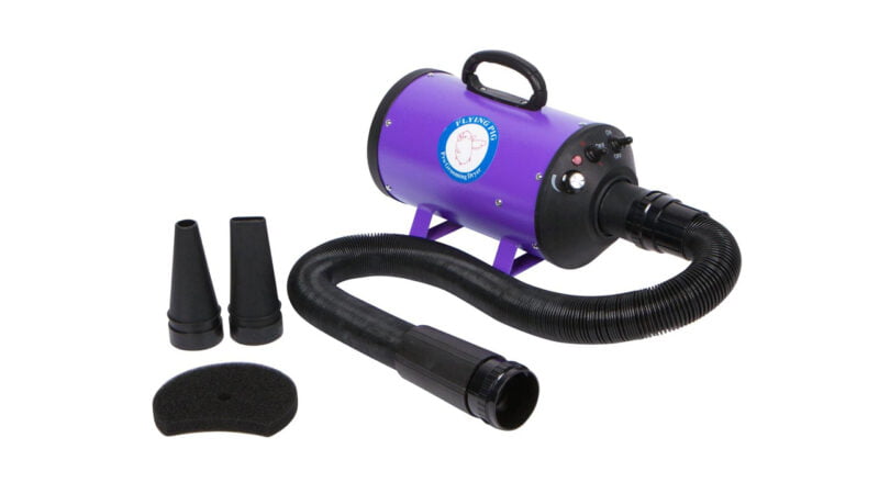 Top 5 Best Dog Dryer