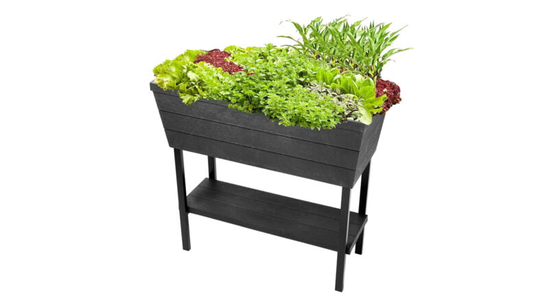 Top 5 Best Self Watering Planter
