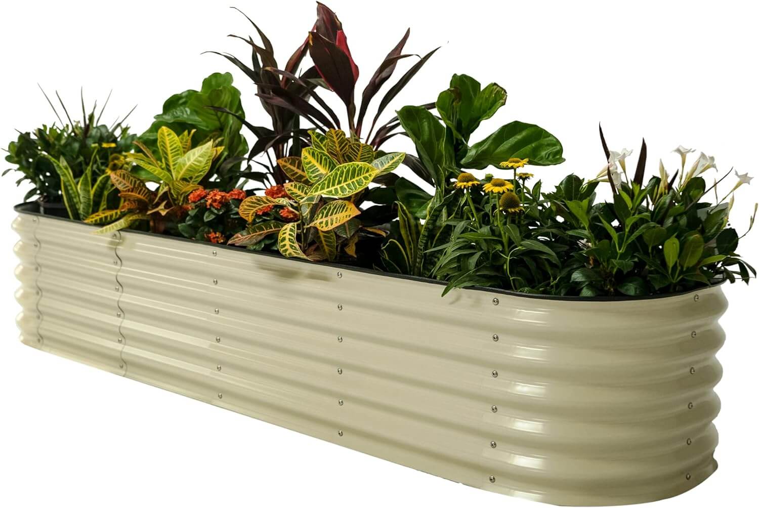 Top 5 Best Self Watering Planter Vego garden Raised Garden Bed Kits