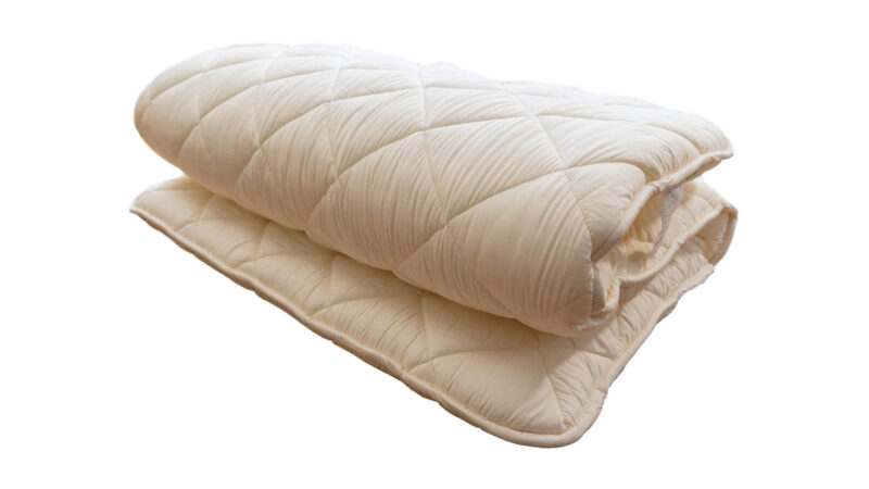 Top 5 Best Japanese Futon Mattress