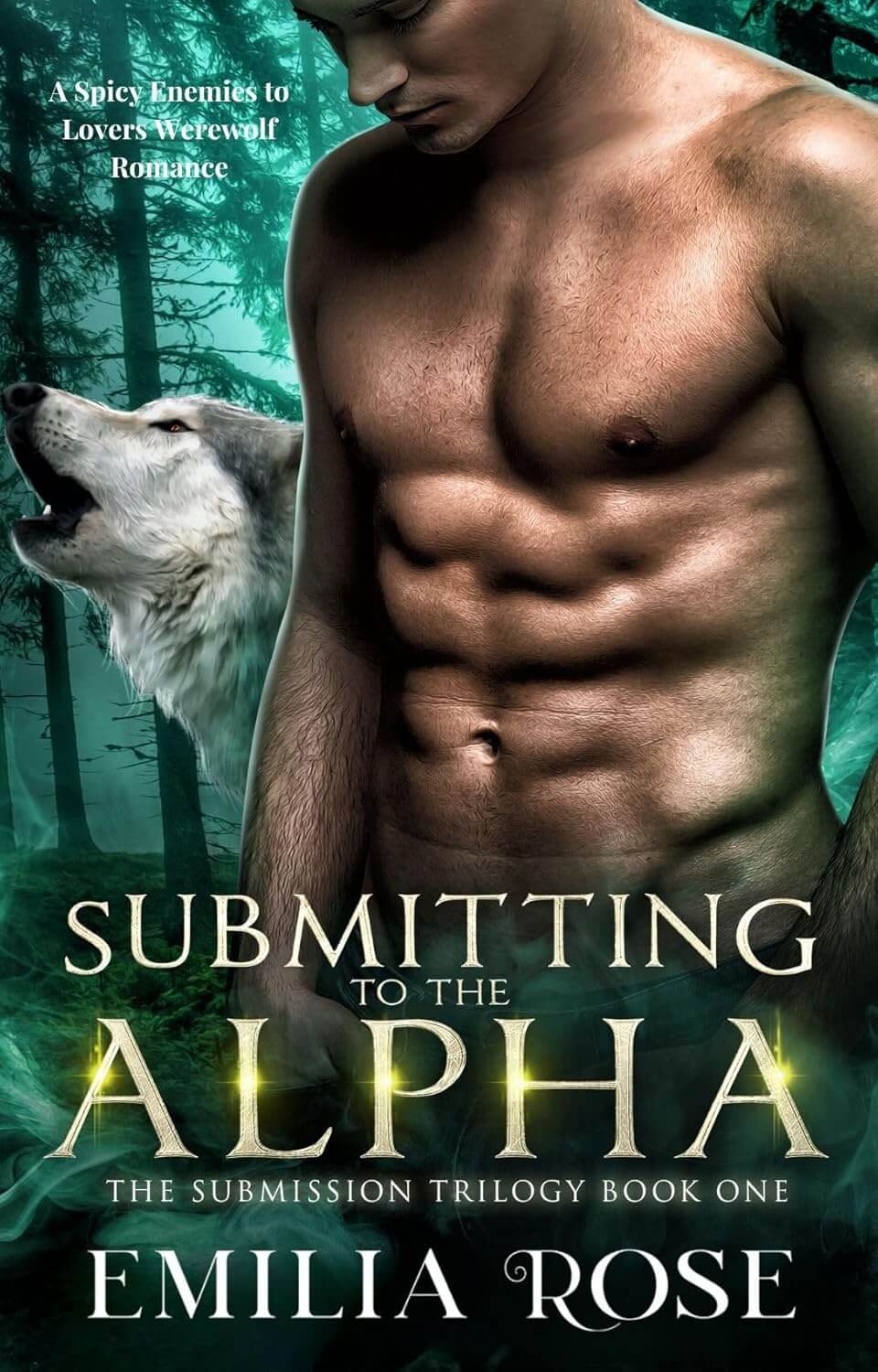 Top 5 Best Possessive Alpha Werewolf Romance Books Submitting to the Alpha