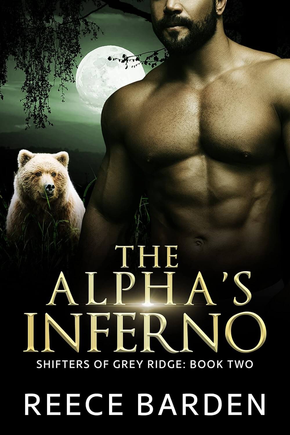 Top 5 Best Possessive Alpha Werewolf Romance Books The Alphas Inferno
