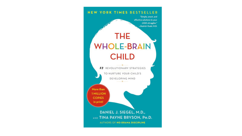 Top 5 Best Parenting Books for Toddler Discipline