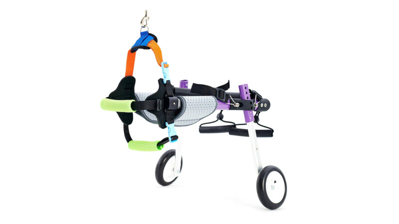 Top 5 Best Dog Wheelchairs