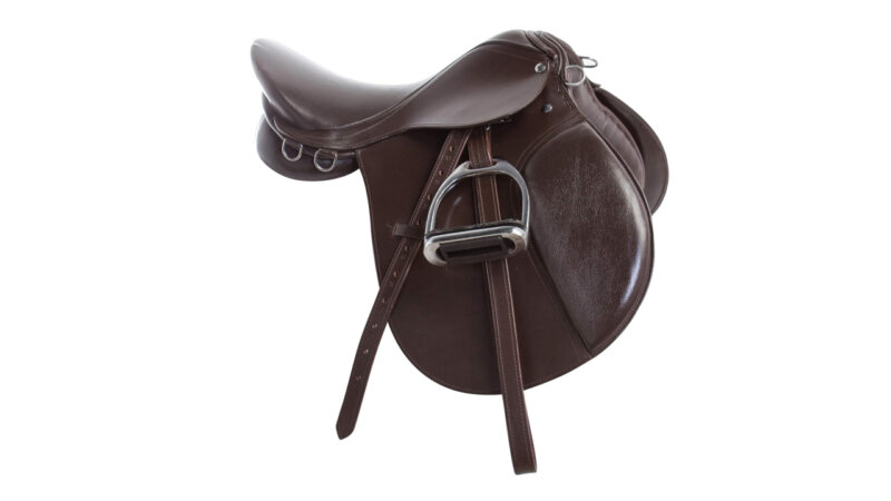 Top 5 Best Horse Saddles