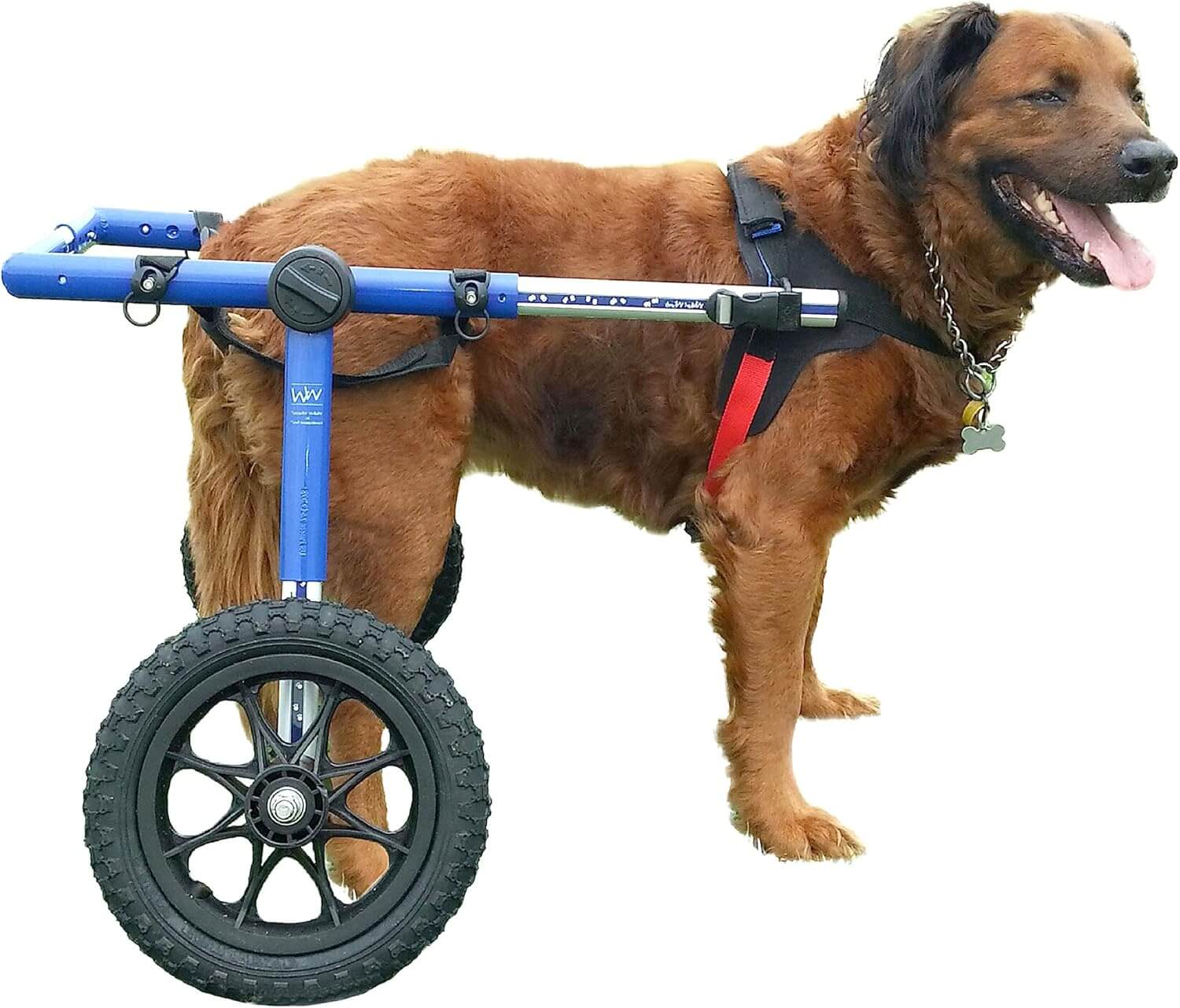 Walkin Wheels Dog Wheelchair