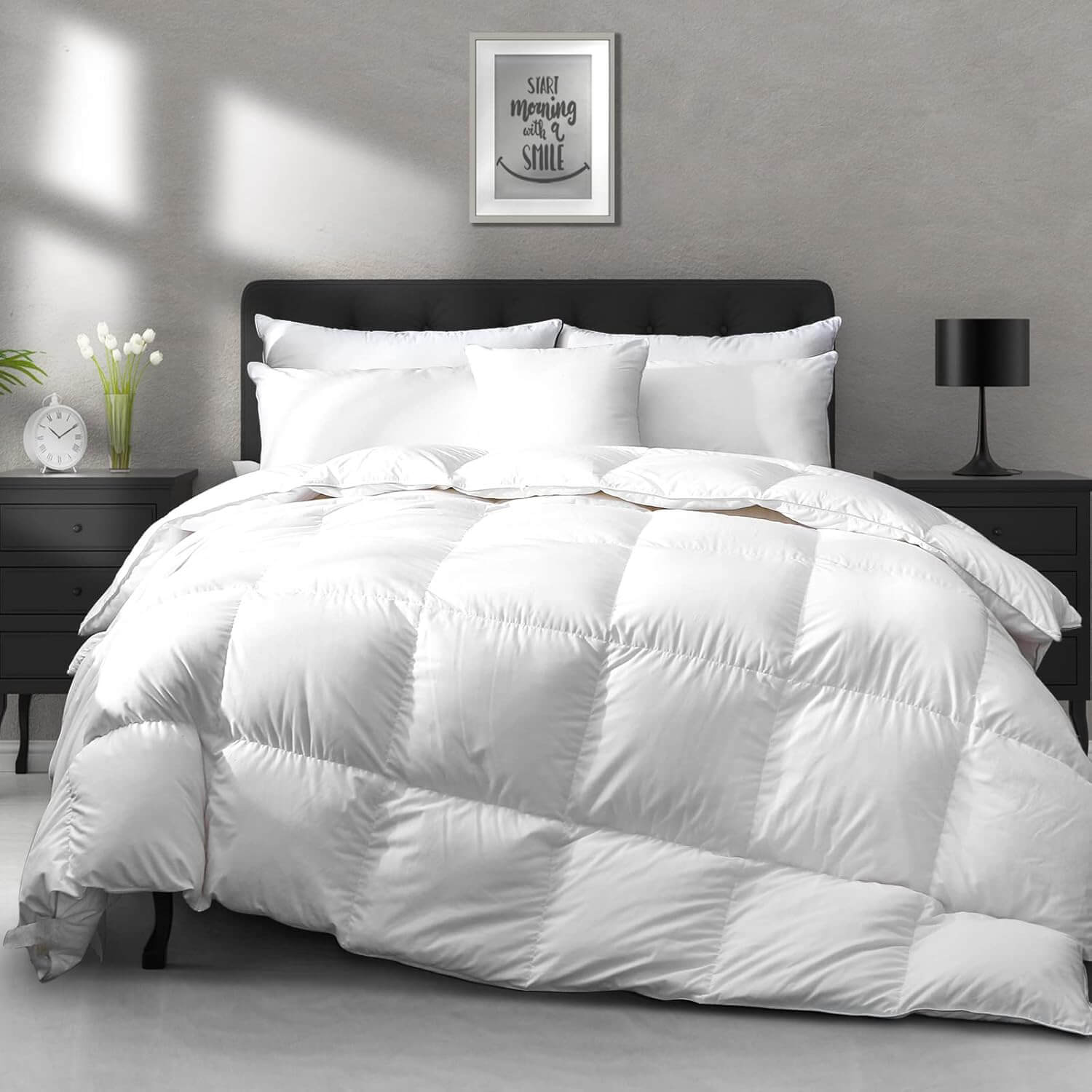 APSMILE Luxurious All Season Down Comforter