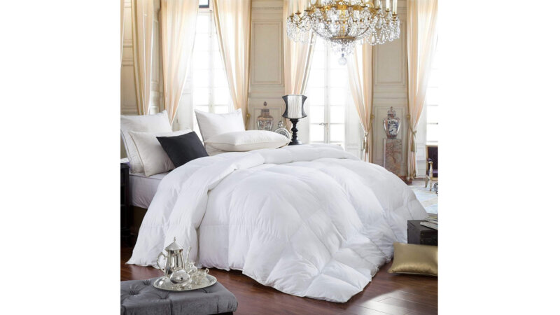 Top 5 Best Goose Down Comforter