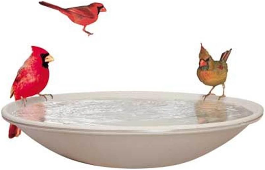 Top 5 Best Heated Bird Bath API Heated Deck Mounting Bird Bath with EZ Tilt Deck Mount