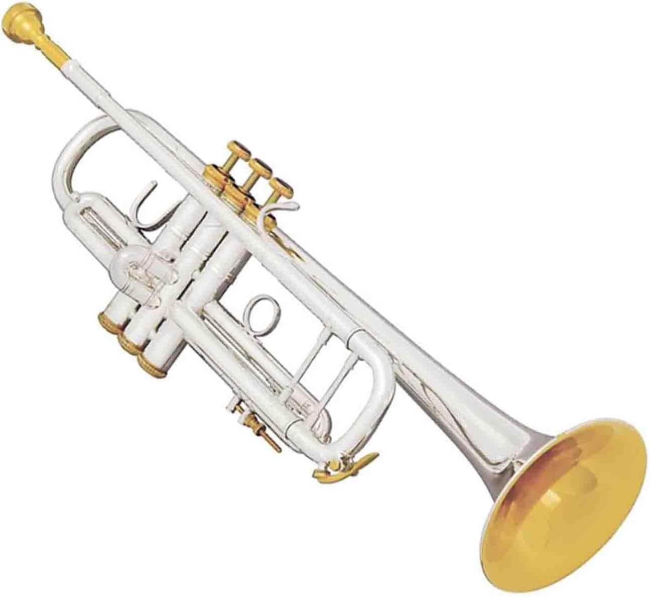 Bach 180S37 Professional Trumpet