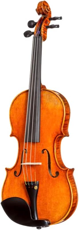 DZ Strad Model 365