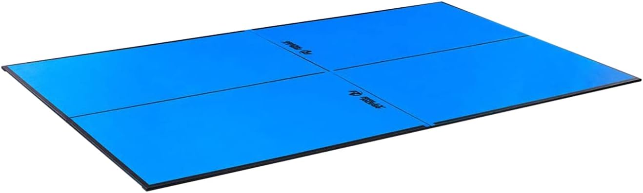 Top 5 Best Table Tennis Conversion Top Rally and Roar Indoor Table Tennis Conversion Top