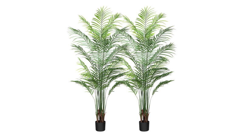 Top 5 Best Artificial Palm Tree