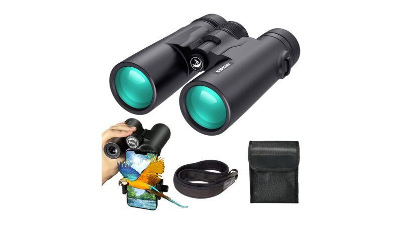 Top 5 Best Binoculars for Safari