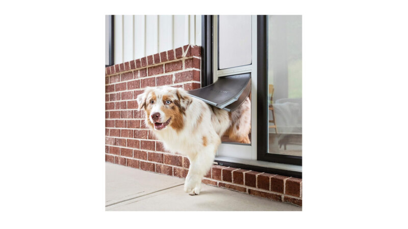 Top 5 Best Doggie Door for Sliding Glass Door