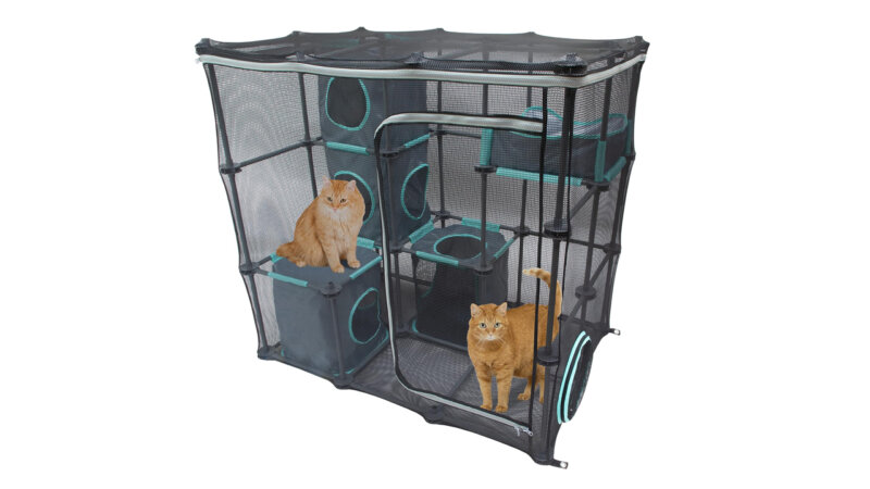 Top 5 Best Outdoor Cat Enclosures