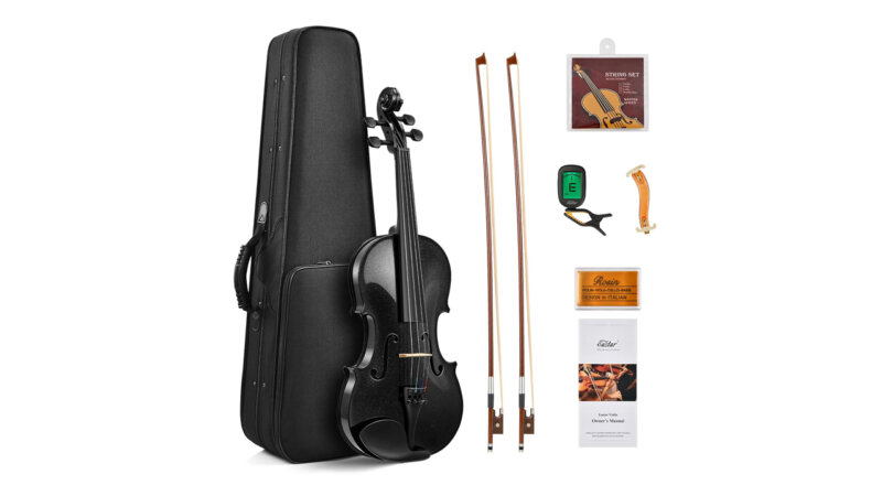 Top 5 Best Violin for Professionals