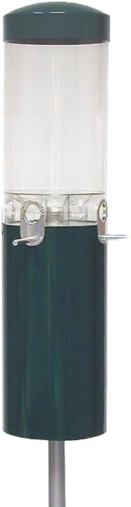 Top 5 Best Squirrel Proof Bird Feeder Birds Choice NP431 Classic Squirrel