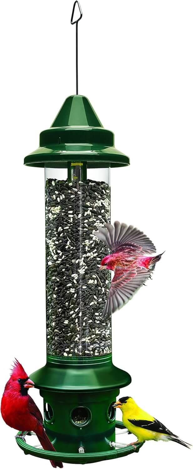 Top 5 Best Squirrel Proof Bird Feeder Brome Squirrel Buster Plus Squirrel