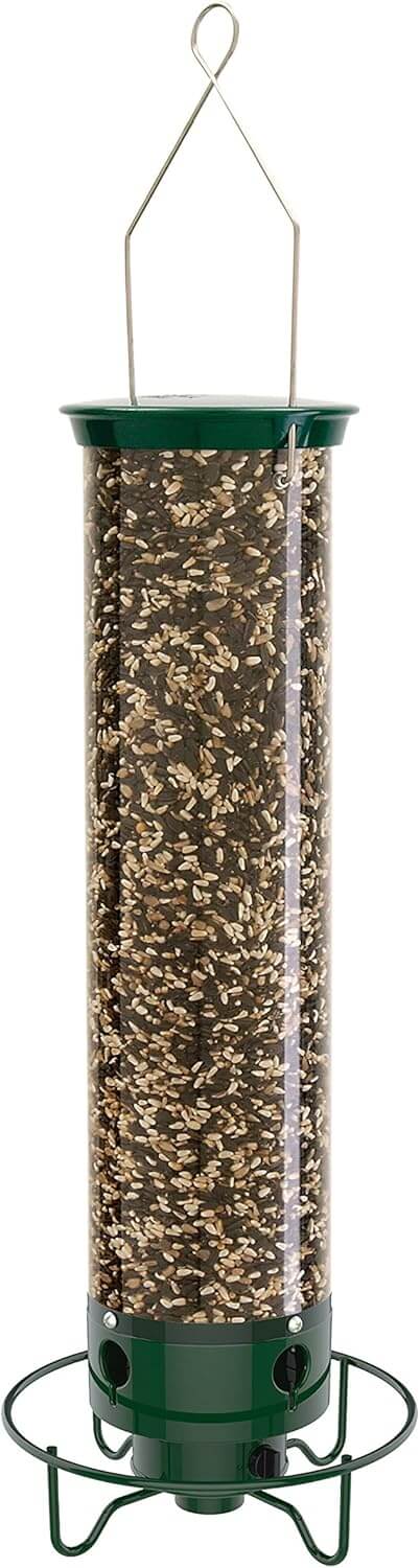 Top 5 Best Squirrel Proof Bird Feeder Droll Yankees Squirrel Proof Bird Feeders