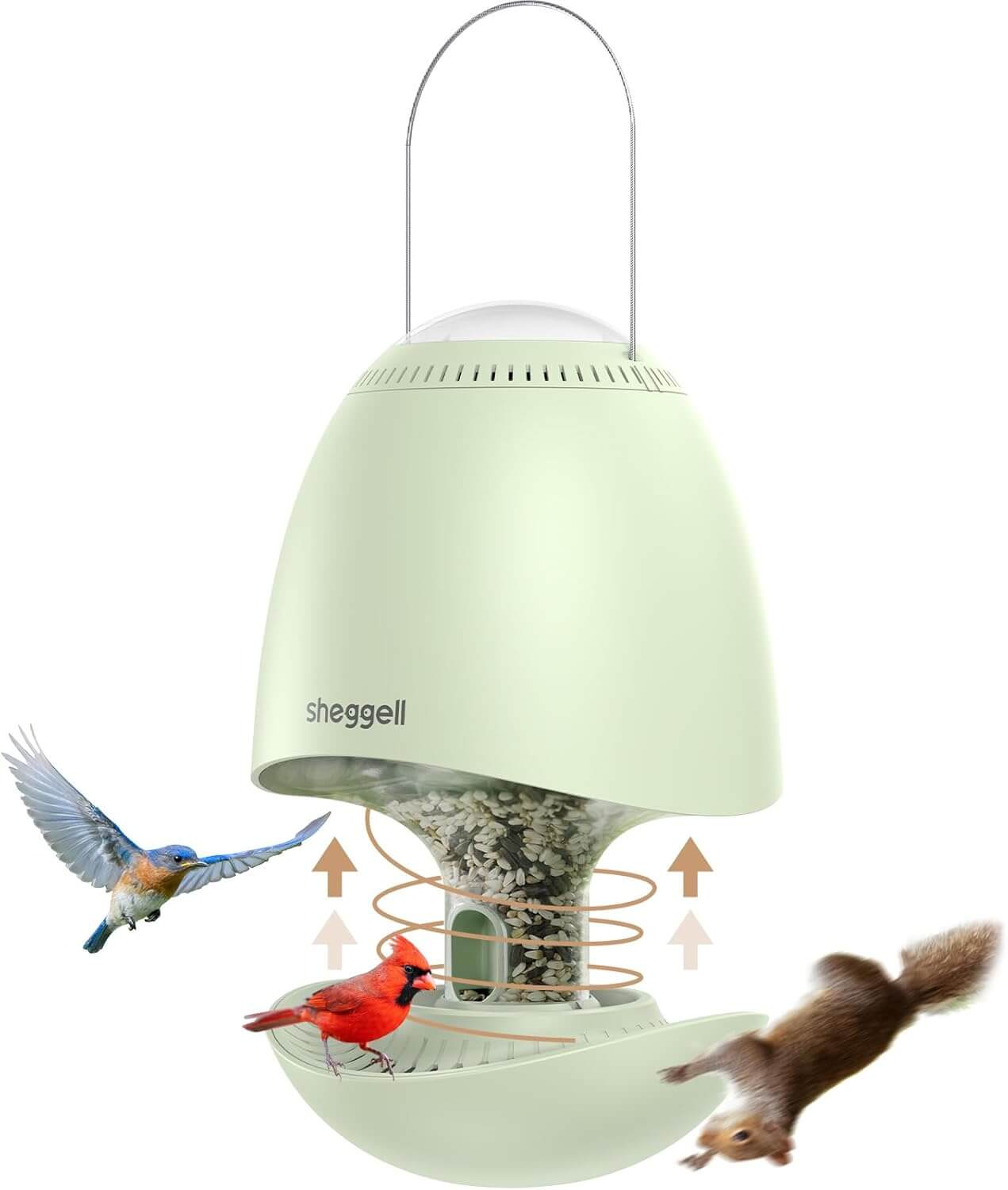 Top 5 Best Squirrel Proof Bird Feeder Sheggell Smart Rotating Squirrel Proof Bird Feeder