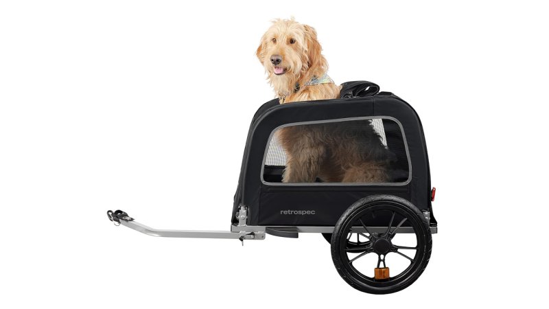 Top 5 Best Bike Trailers for Dogs