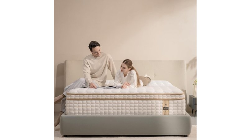 AN Adamant Noyau Queen 12 Inch Memory Foam Hybrid Mattress