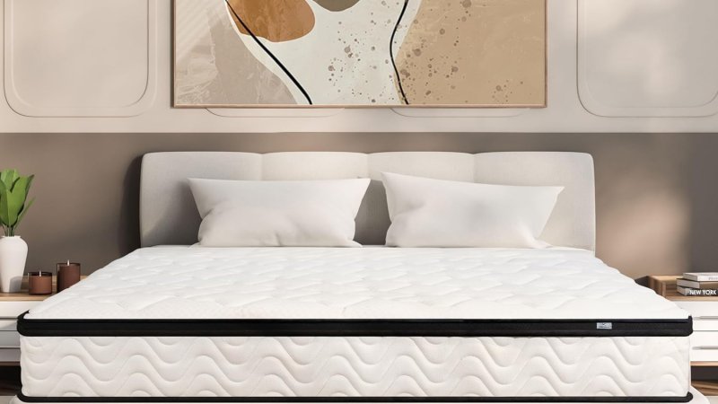 MOLBIUS Queen Size 12 Inch Hybrid Mattresses in a Box