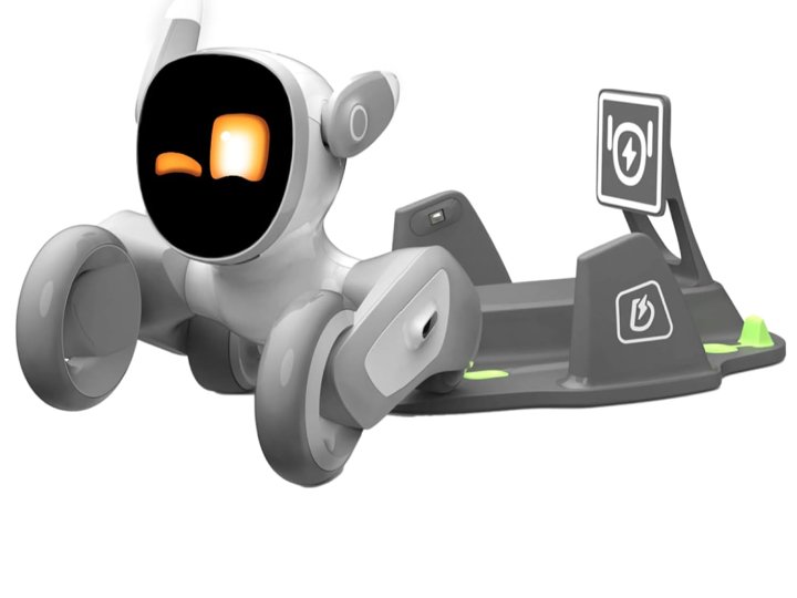 Top 5 Best Personal Robots