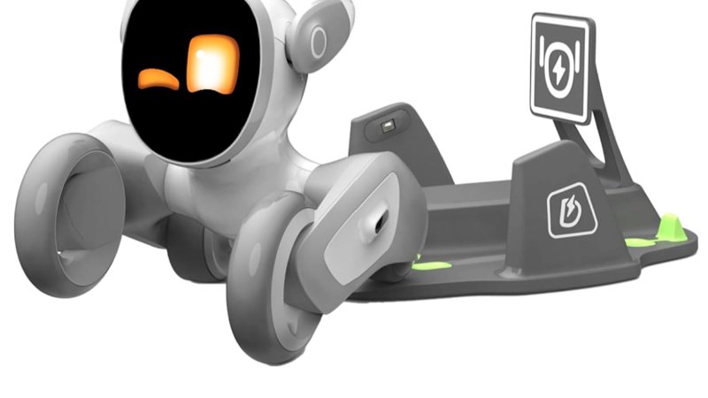 Top 5 Best Personal Robots