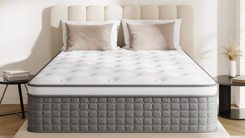 PUBPLON Mattress Queen Size Medium Firm 10 Inch