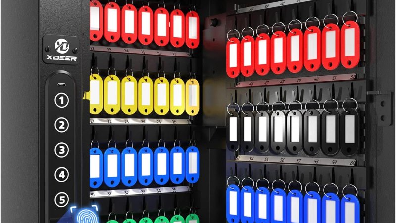 Top 5 Best Biometric Wall Safes