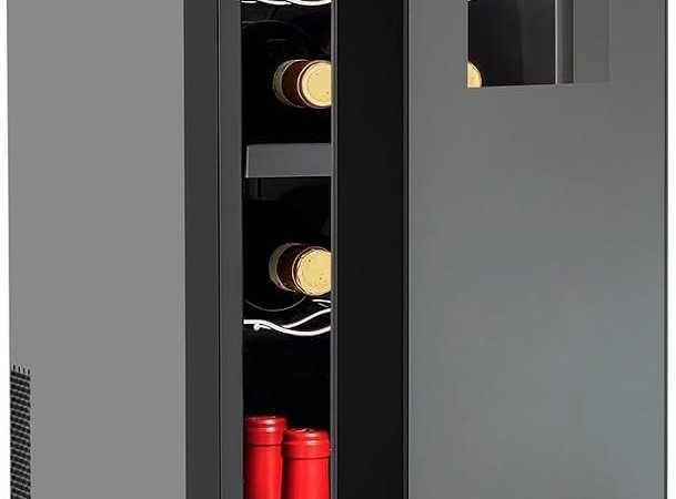 Top 5 Best Wine Coolers