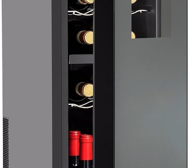Top 5 Best Wine Coolers